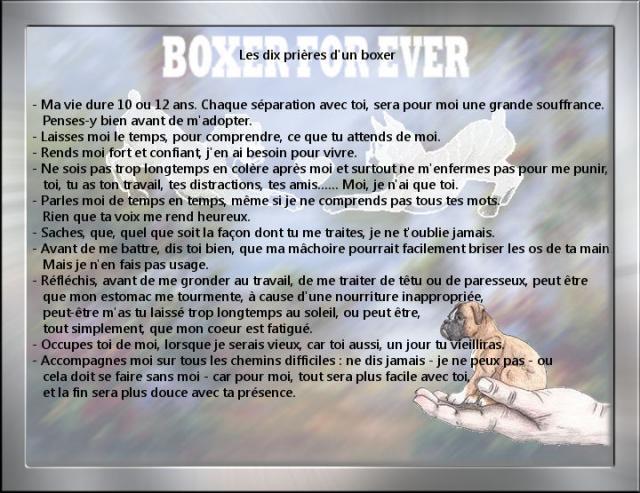 Image hébergé par BOXER AMI